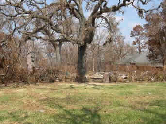 Louis Sullivan House After Hurricane Katrina