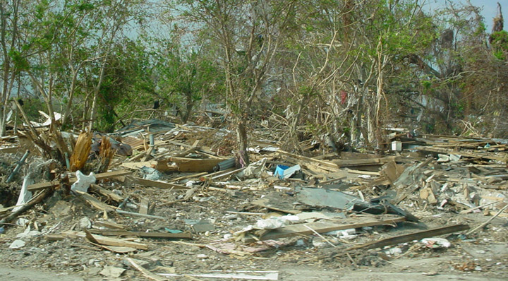 Remains of a Neighborhood on The Point in East Biloxi