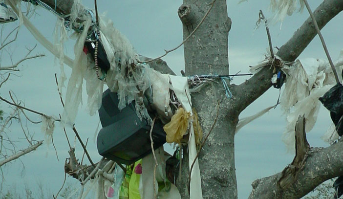 Debris Hangs from a Tree in Long Beach, Mississippi